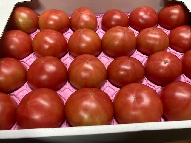 大玉トマト  4㎏